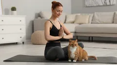 Visste du varför katter dras till doften av mänsklig svett?