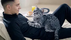 Så visar katter tillgivenhet: Om de gör det här är du deras favoritmänniska