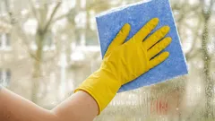 Vad du ska tvätta fönstren med i vår för att de ska glänsa rena ända till senhösten
