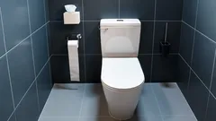 Stäng toalettlocket varje gång: oväntade skäl som få känner till