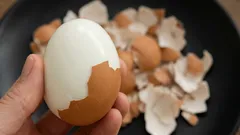 Så kokar du ägg så att skalet lossnar av sig självt: en detaljerad metod på proffsnivå